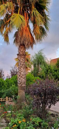 عکس شهرک ساحلی ندای دریا