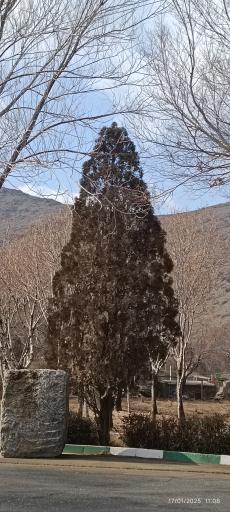 عکس باغ وحش اراک