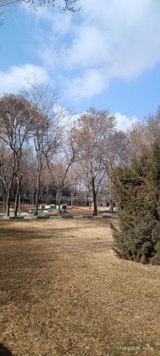 عکس باغ وحش اراک