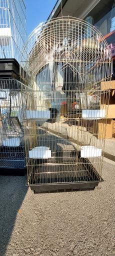 پخش قفس و لوازم پرندگان سام