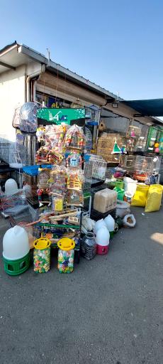 پخش قفس و لوازم پرندگان سام