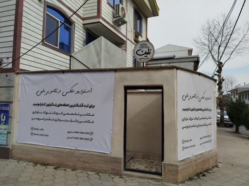 عکس استودیو عکس و تصویر نلین 