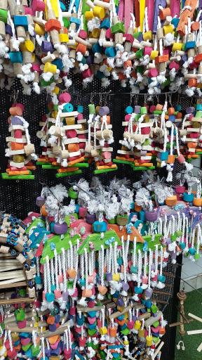 عکس پخش قفس و لوازم پرندگان سام