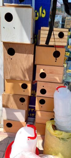 عکس پخش قفس و لوازم پرندگان سام