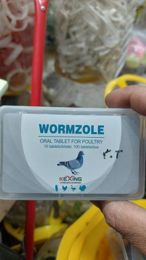 عکس پخش قفس و لوازم پرندگان سام