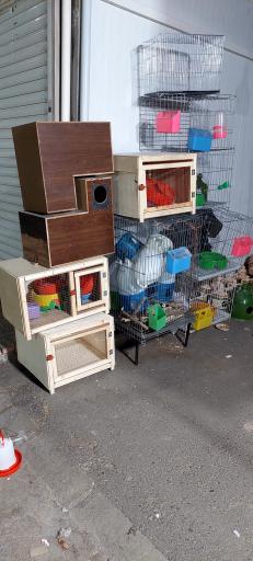 عکس پخش قفس و لوازم پرندگان سام