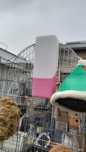 عکس پخش قفس و لوازم پرندگان سام