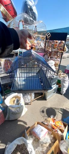 عکس پخش قفس و لوازم پرندگان سام