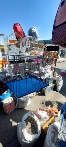 عکس پخش قفس و لوازم پرندگان سام