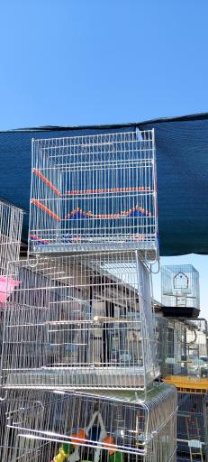 عکس پخش قفس و لوازم پرندگان سام