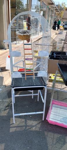 عکس پخش قفس و لوازم پرندگان سام