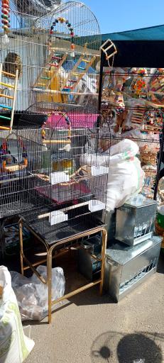 عکس پخش قفس و لوازم پرندگان سام