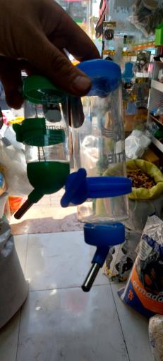 عکس پخش قفس و لوازم پرندگان سام