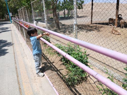 عکس باغ وحش اراک