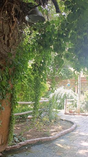 عکس باغ رستوران منوچهری