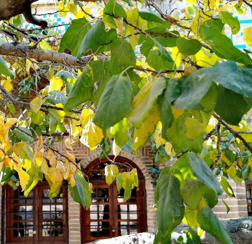 عکس سرای ملک زنجان