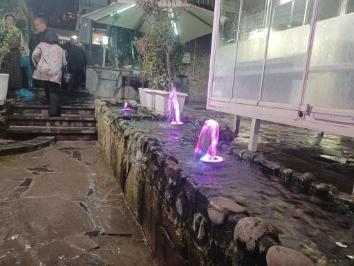 عکس رستوران ورجین