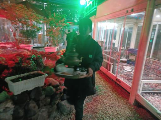 عکس رستوران ورجین