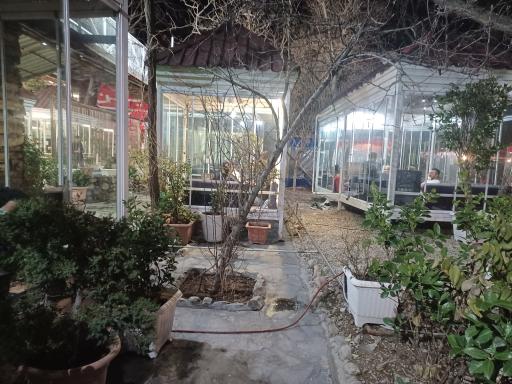 عکس رستوران ورجین