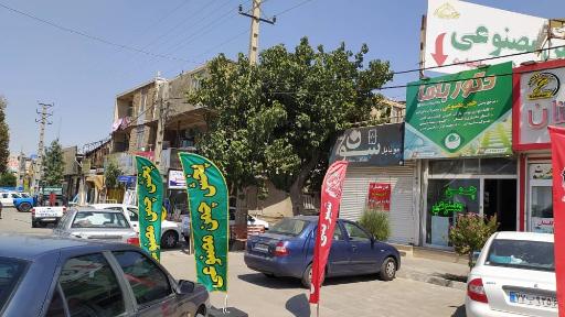 عکس پخش چمن مصنوعی دکورباما شعبه دو