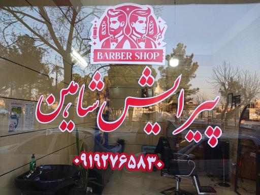 عکس پیرایش شاهین