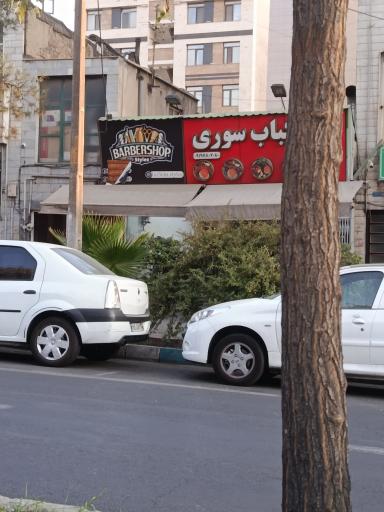 عکس کته کباب سوری 