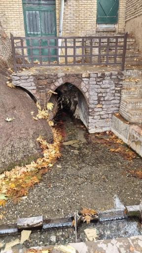 عکس چنار تاریخی تفرش