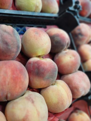 عکس سوپر میوه سی شب