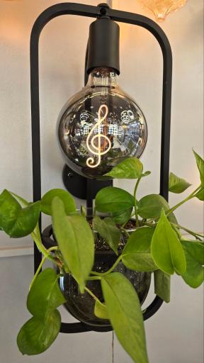 عکس کالای برق الکترولوکس 