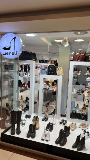 کیف و کفش دنلی