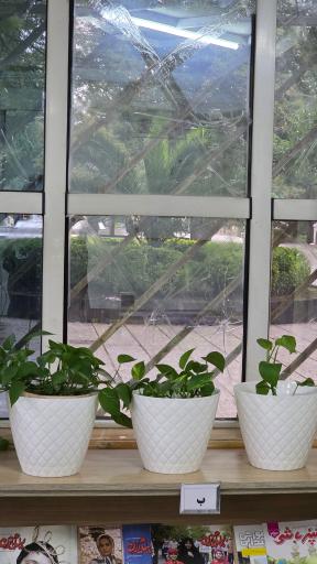 عکس کتابخانه عمومی امام حسن مجتبی