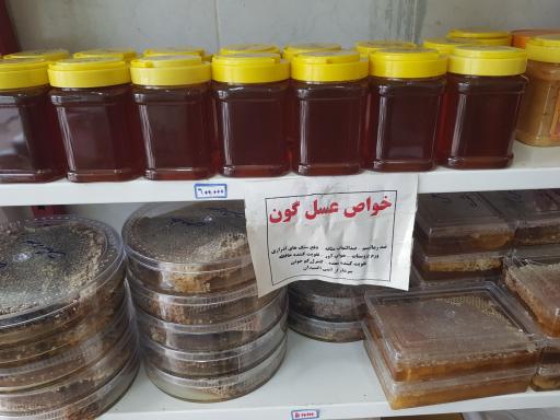 فروشگاه عسل طبیعی کوهستان