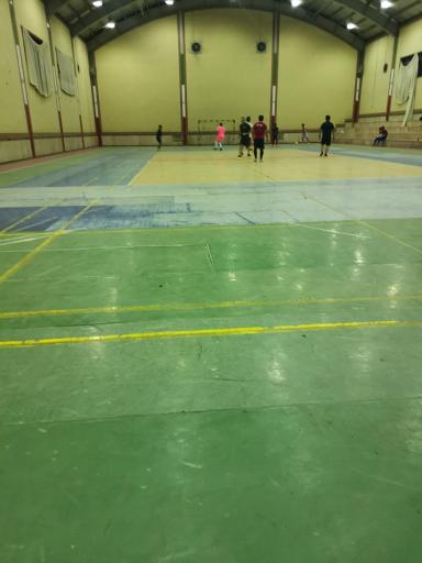 عکس سالن ورزشی ولایت 