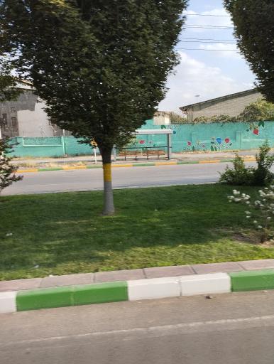 عکس  آموزگار 62