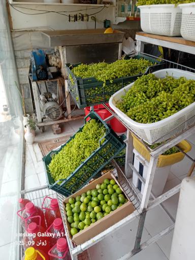 عکس سبزیجات آماده و آب مرکبات