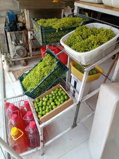 عکس سبزیجات آماده و آب مرکبات