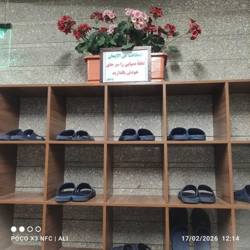 عکس مسجد بینایی