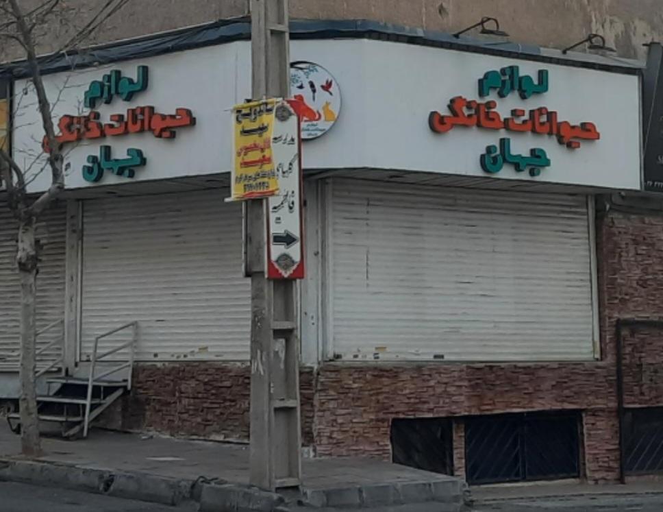 عکس پت شاپ جهان