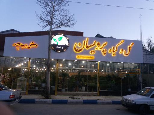 عکس گل و گیاه پردیسان