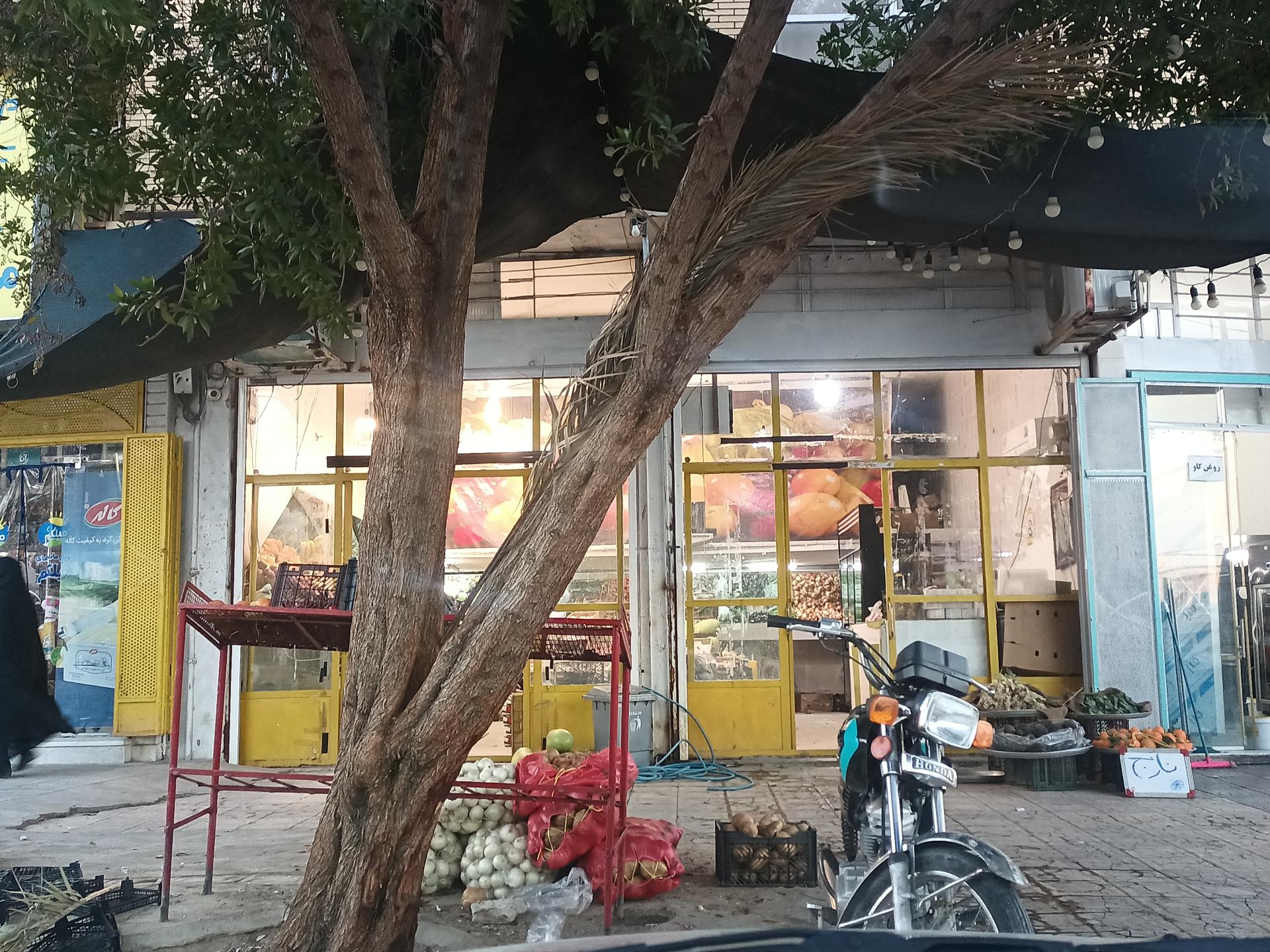 عکس میوه فروشی 