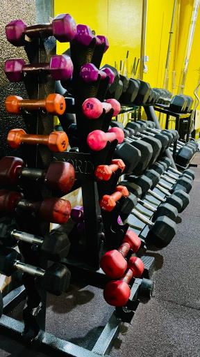 عکس آکادمی پرورش‌اندام دانیال