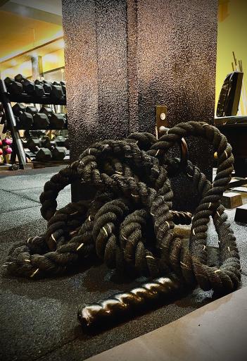 آکادمی پرورش‌اندام دانیال