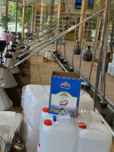 عکس گلاب طوبی 