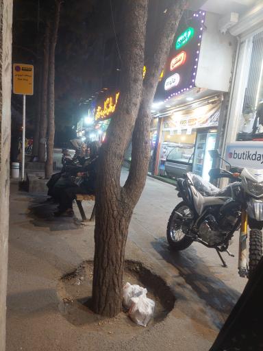 عکس  پارک حجاب