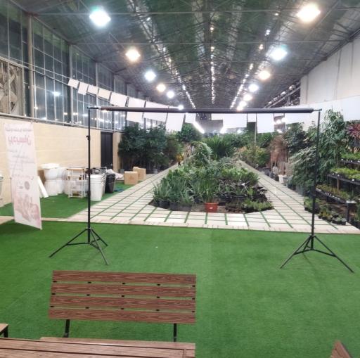 عکس گل و گیاه پردیسان