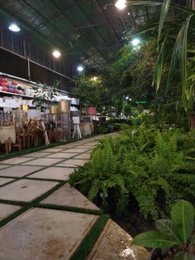 عکس گل و گیاه پردیسان