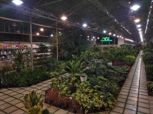 عکس گل و گیاه پردیسان