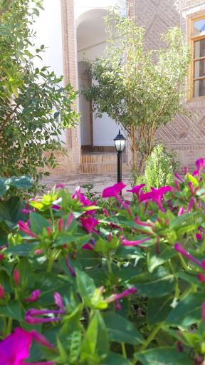 عکس رستوران لاوین