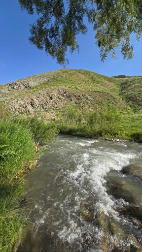 عکس آزادبر