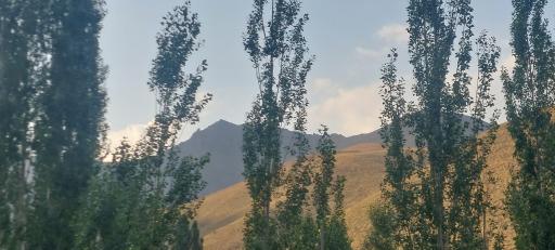 عکس آزادبر